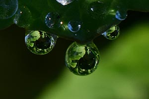 Tau als Niederschlag