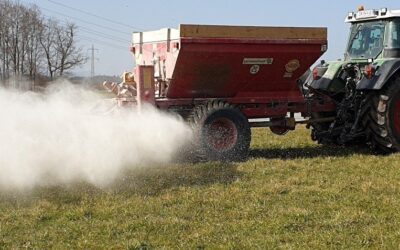 Kalkung im Grünland