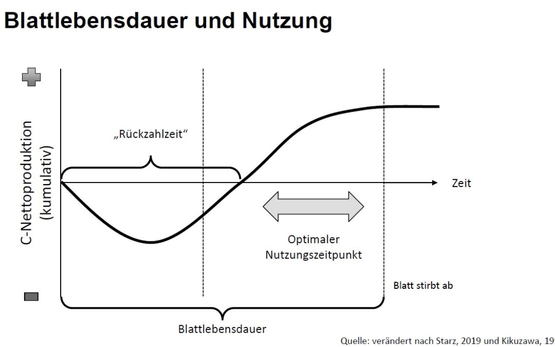 Rückzahlzeit – was ist das?